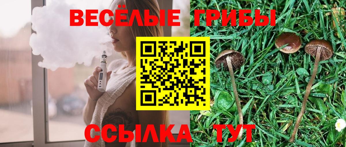 Псилоцибиновые грибы GOLDEN TEACHER Серпухов